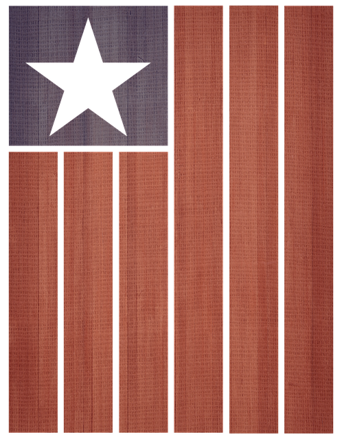 Stars and Bars Flags