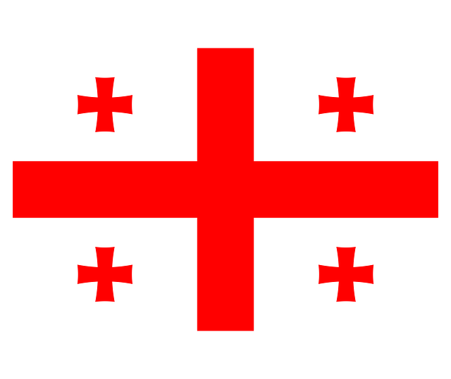 Swastika National Flag