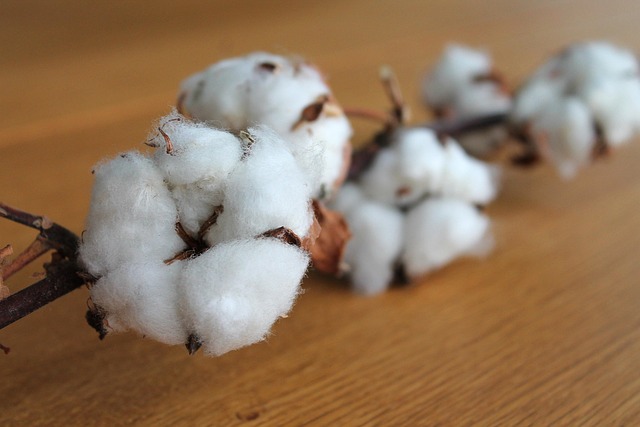 cotton-rebel-flags-640x480-7559408.jpeg