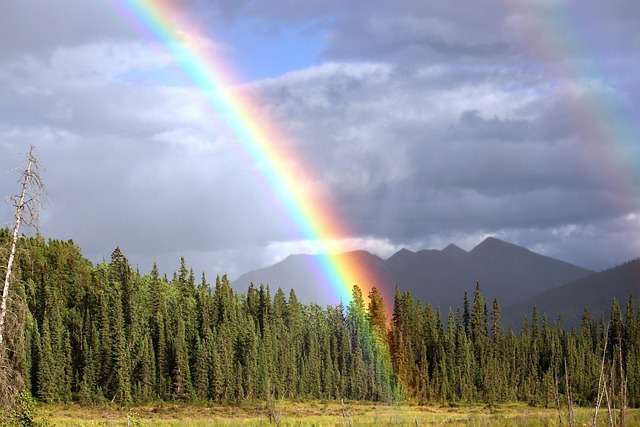 Double stitched Stars and Bars flag with grommets