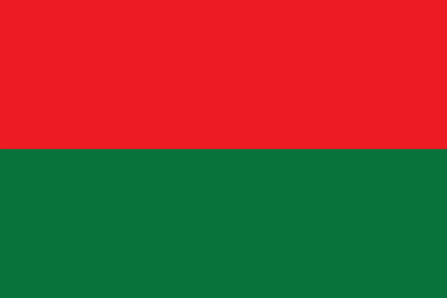 Nazi Party flags