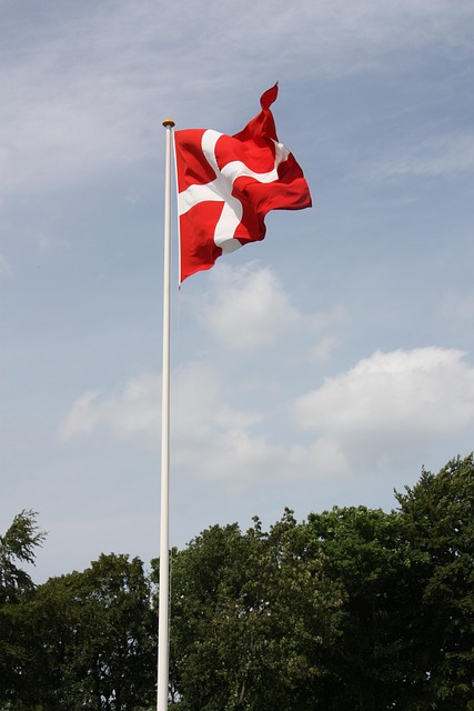 Wehrmacht cross emblem Flag