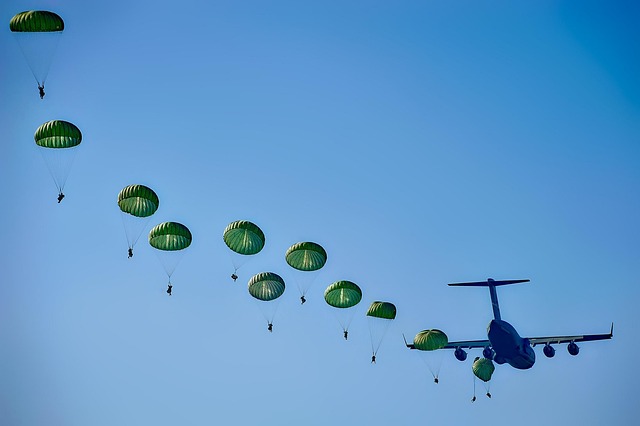 101st airborne division flag