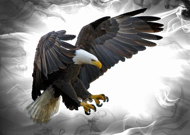 american eagle american flag