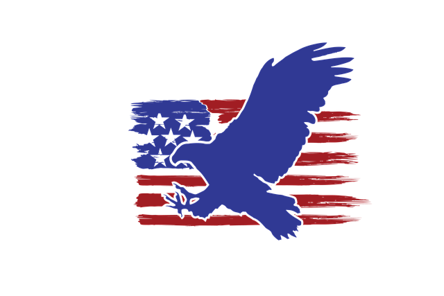 american eagle american flag