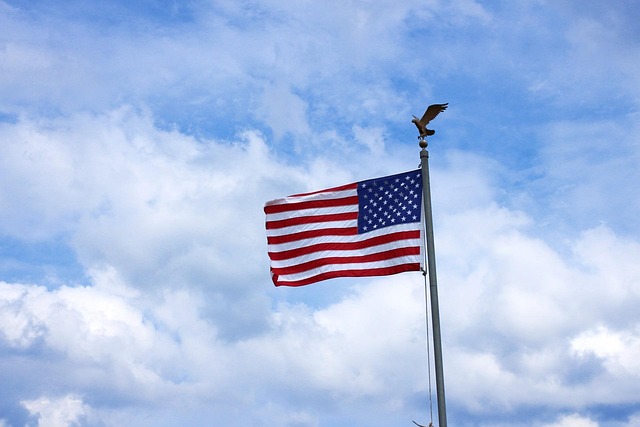 american eagle and flag