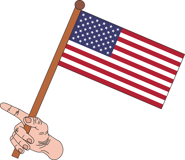 american eagle and flag