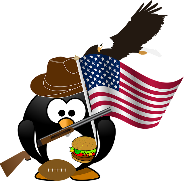 american eagle and flag