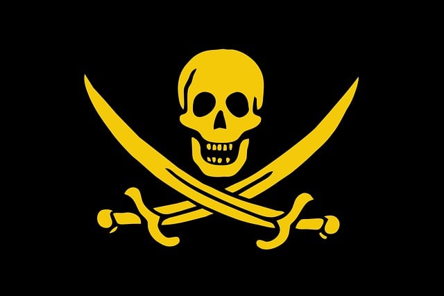 buy pirate flags