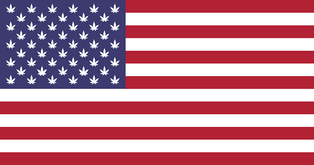 Confederate Flags