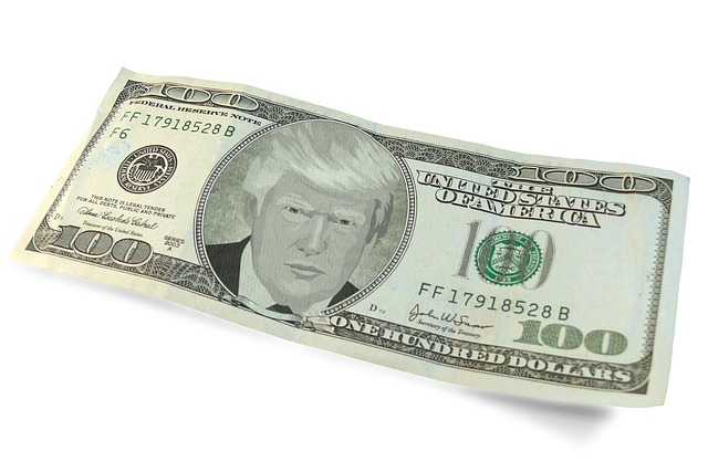 Custom Trump Flags