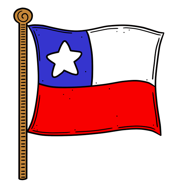 Double stitched Stars and Bars flag with grommets