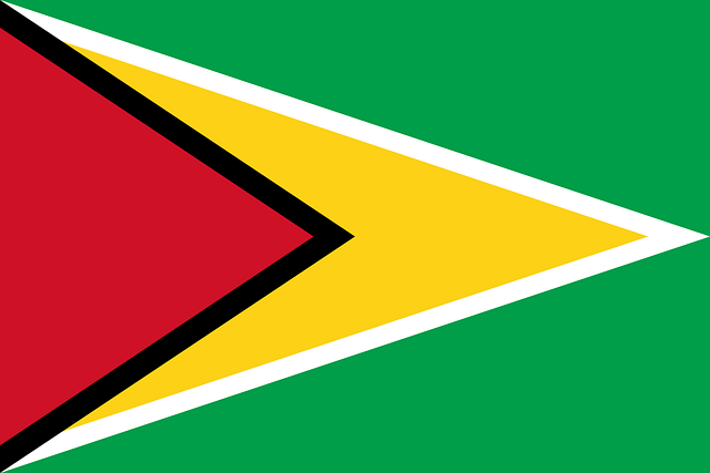 National Swastika Flag