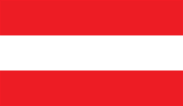 Nazi Battle Flag