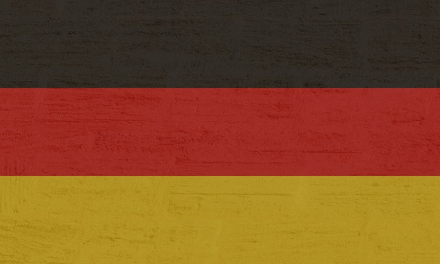Nazi Party flags