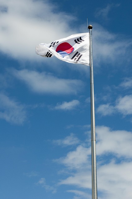 Nazi Party flags