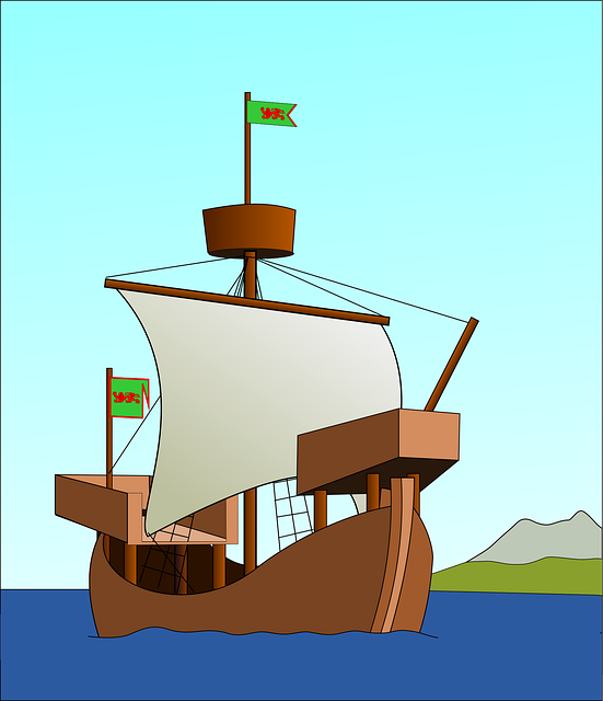 outdoor pirate flags