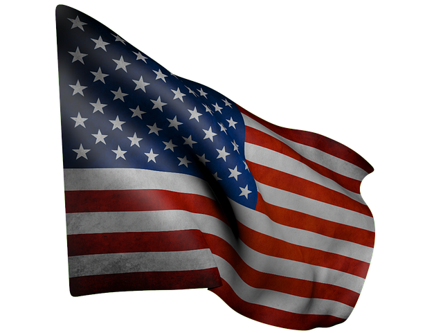 Stars and Bars Flags