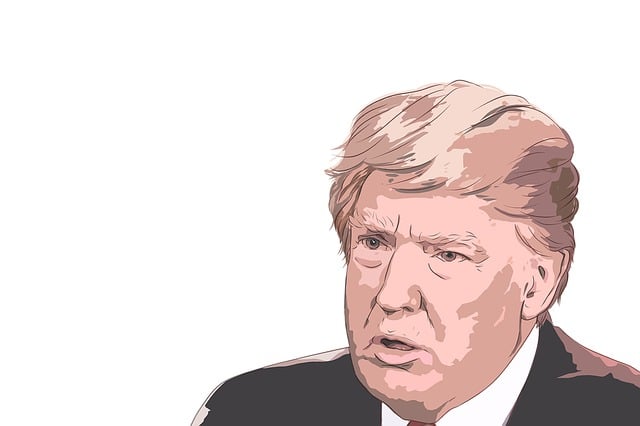 Trump Flag No More Bullshit