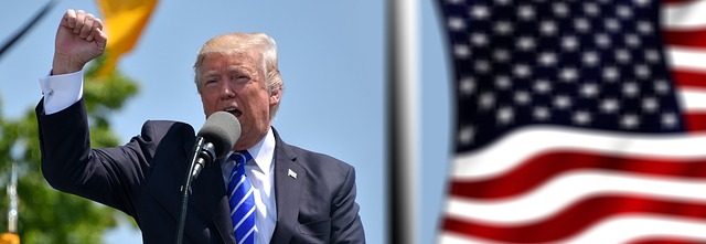 Trump MAGA Flags