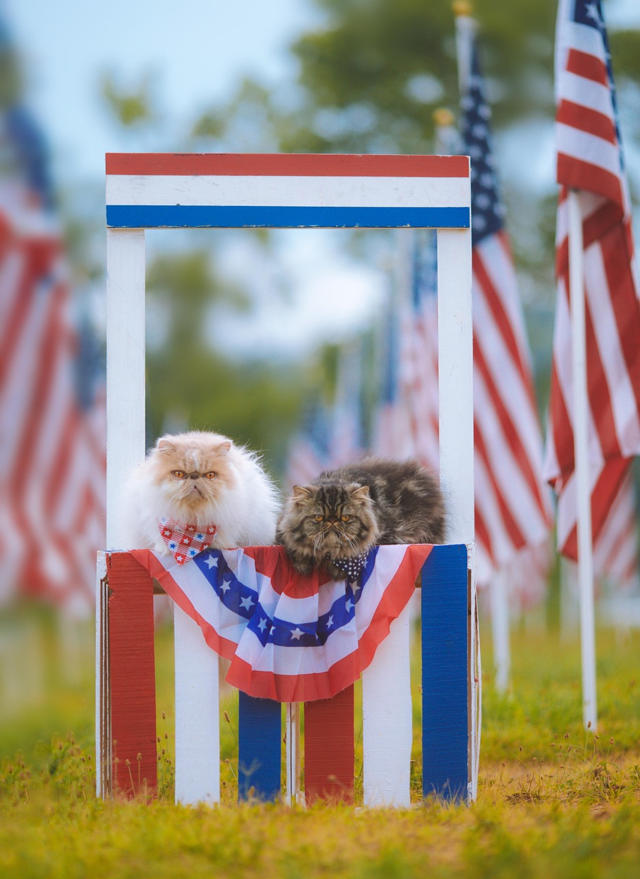 Patriotic Flags